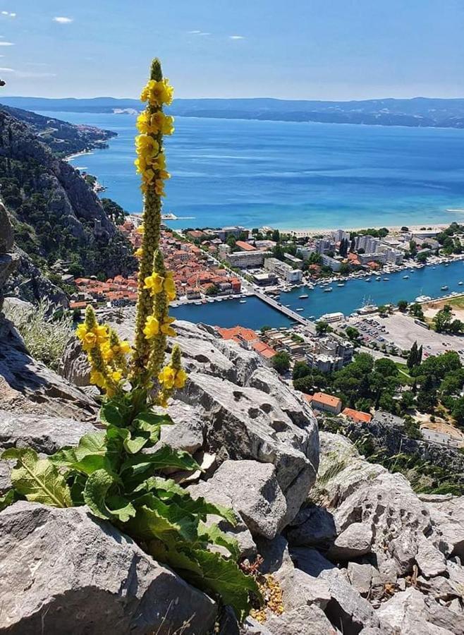 Amazing Sea View Apartment Omis Bagian luar foto